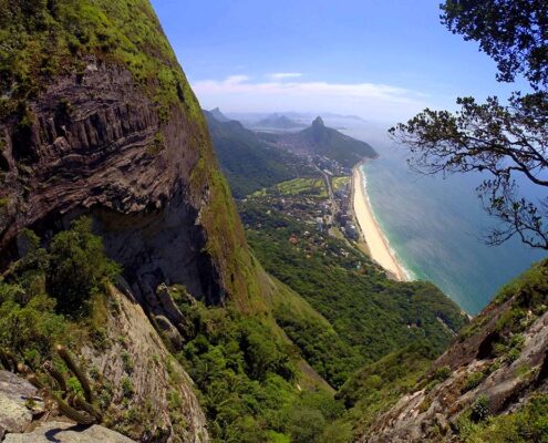 Floresta da Tijuca - Rio de Janeiro